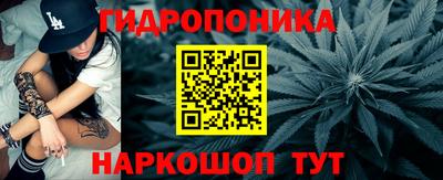spice Донецк