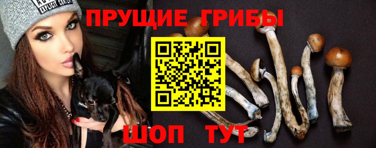 Галлюциногенные грибы MAGIC MUSHROOMS Мелеуз